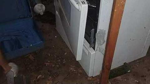 Lots. Of. Spiders. - 20170924_001050.jpg