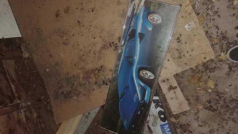 Lots. Of. Spiders. - 20170924_001132.jpg