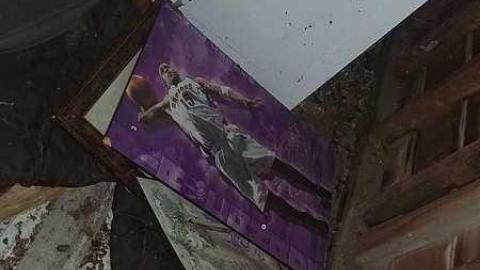 Lots. Of. Spiders. - 20170924_001139.jpg