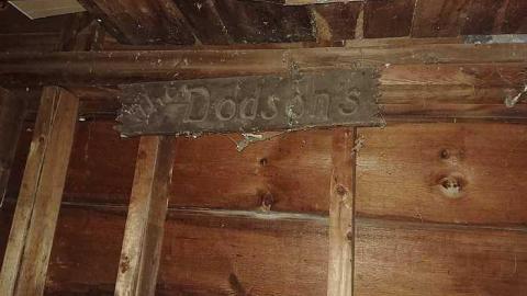 Lots. Of. Spiders. - 20170924_001152.jpg