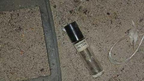 Lots. Of. Spiders. - 20170924_001237.jpg