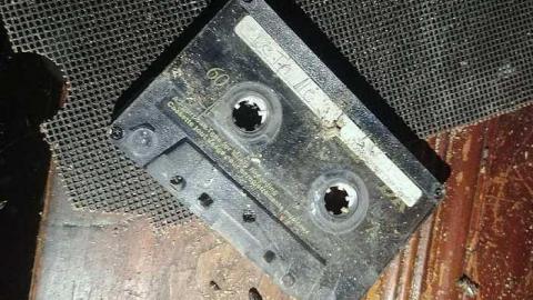 Lots. Of. Spiders. - 20170924_001747.jpg