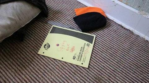 Converse Kid - IMG_2154.jpg