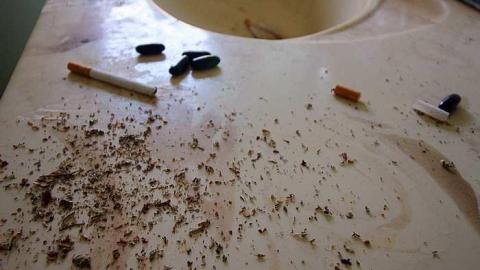 Converse Kid - IMG_2149.jpg