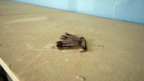 Converse Kid - IMG_2147.jpg