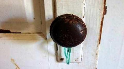 Converse Kid - IMG_2142.jpg