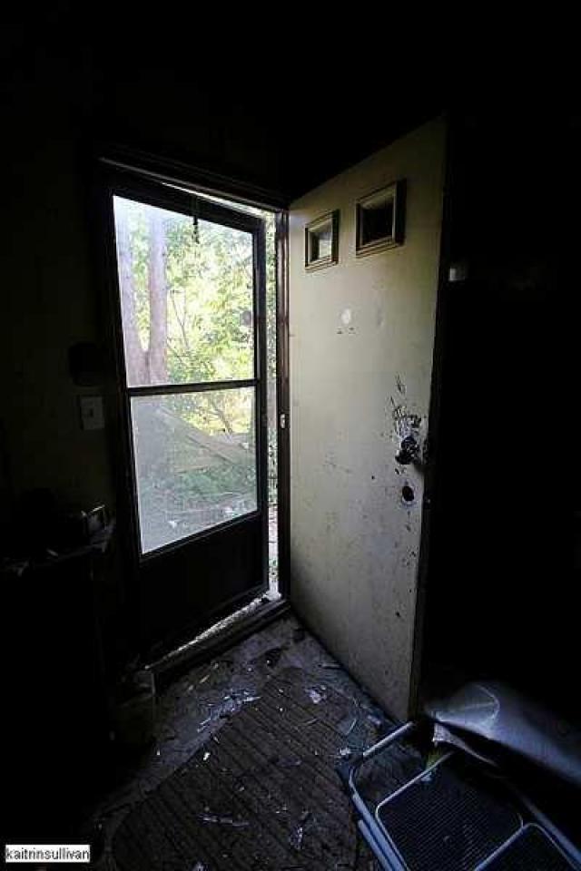 Converse Kid photo 3