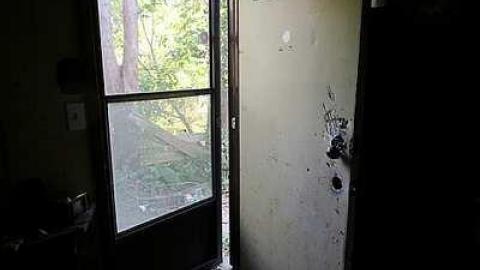 Converse Kid photo 3