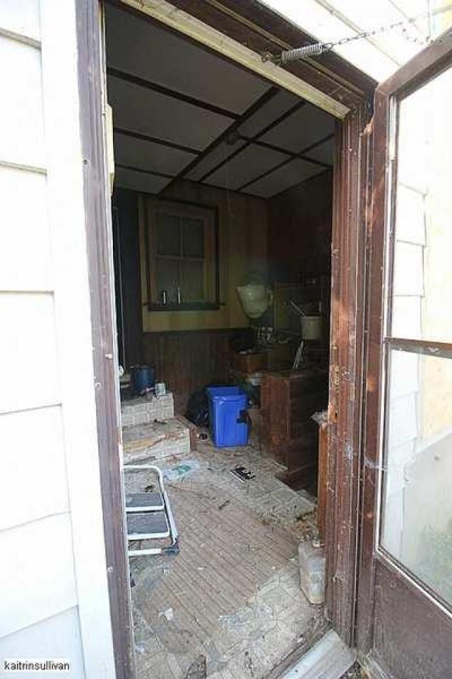 Converse Kid photo 5