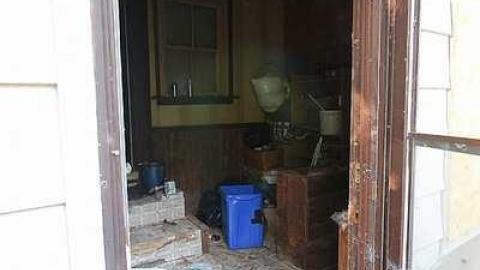 Converse Kid photo 5