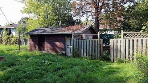 Converse Kid - IMG_2119.jpg