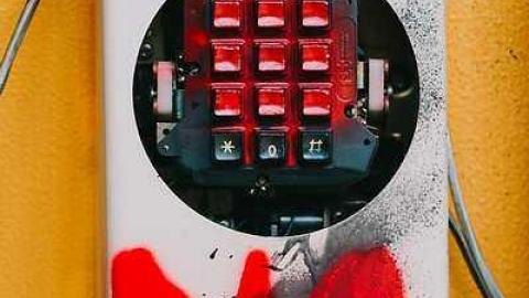 Cookie - Christie1.jpg