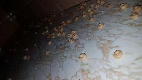 First Visit - Cheerios45.jpg