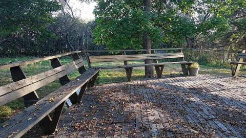 First Visit - 20170925_1808431.jpg