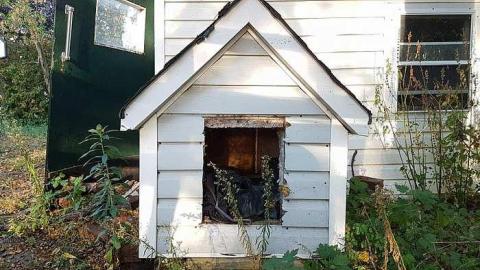 First Visit - 20170925_1803151.jpg