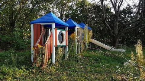 First Visit - 20170925_1800431.jpg