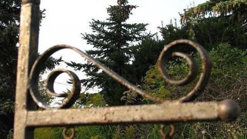 Pining for Durham - 17.jpg