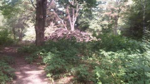 Shaver House - IMG01045-20110821-1506.jpg