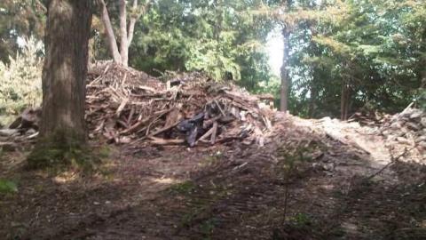 Shaver House - IMG01046-20110821-1506.jpg