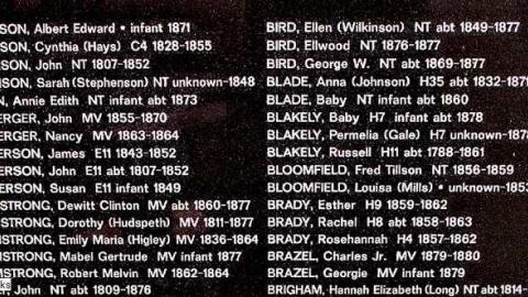 A Light In Yonder Skies  - Tillsonburg-Pioneer-Graveyard6.jpg