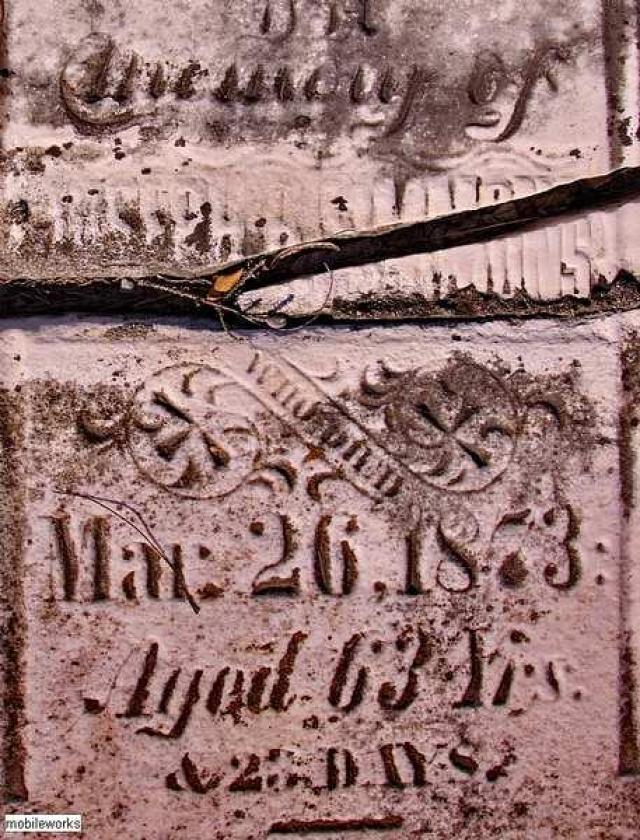 Tillsonburg Pioneer Graveyard photo 4