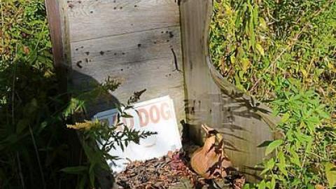 Awesome Brick House - Clarington-Jackpot102.jpg