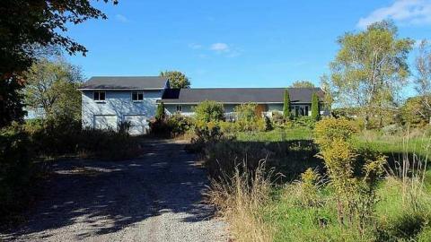 Blue Bungalow - Moldy-407-Takeover1.jpg