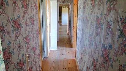 Blue Bungalow - Moldy-407-Takeover16.jpg