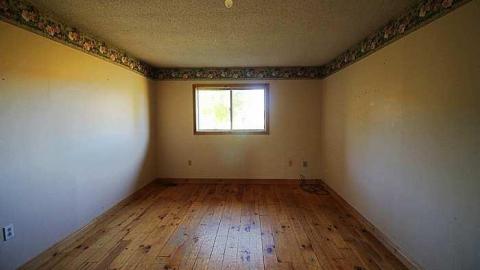 Blue Bungalow - Moldy-407-Takeover6.jpg