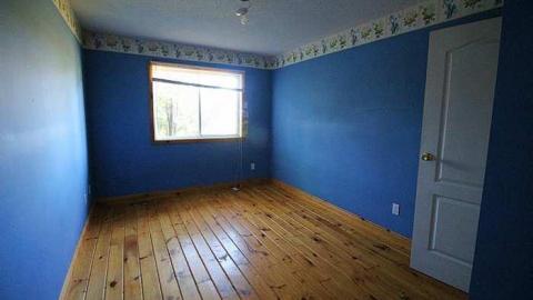 Blue Bungalow - Moldy-407-Takeover90.jpg