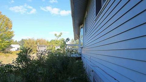 Blue Bungalow - Moldy-407-Takeover95.jpg