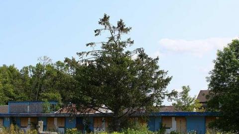 Welcome - IMG_9901.jpg