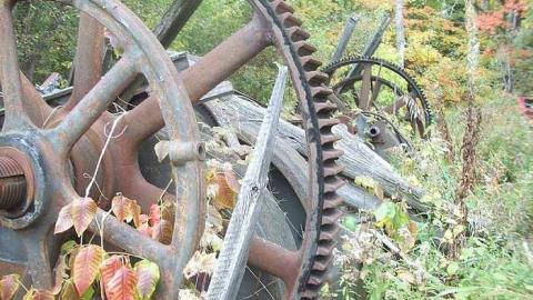 Photo from Sawmill 2017