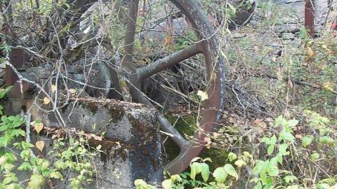 Sawmill 2017 - Falkenburg-GhostTown-Galleries47.jpg