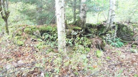 Deep Woods Fountations - Falkenburg-GhostTown-Galleries48.jpg