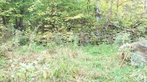 Deep Woods Fountations - Falkenburg-GhostTown-Galleries49.jpg