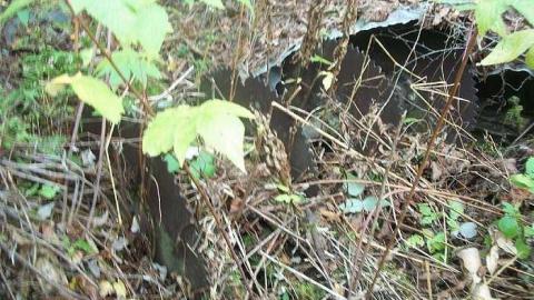 Deep Woods Fountations - Falkenburg-GhostTown-Galleries54.jpg