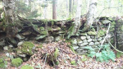 Photo from Deep Woods Fountations