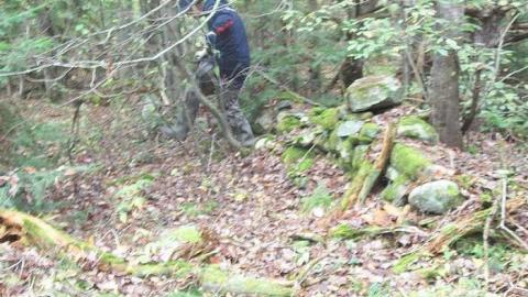 Photo from Deep Woods Fountations