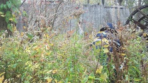 Photo from Sawmill 2017