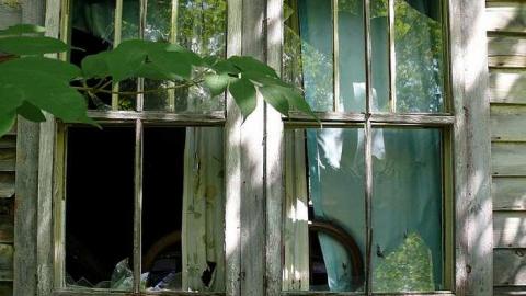 Red Door - P1030208.jpg