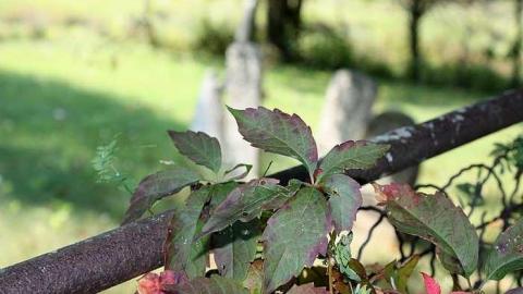 Sept 2017 - Sinclair-Pioneer-Cemetery12.jpg