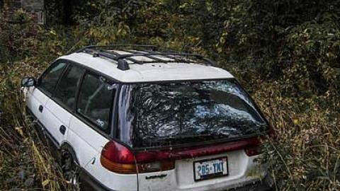 Subbie  - Clarington-Jackpot99.jpg