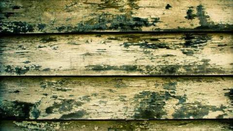 Photo from Burlington Lighthouse