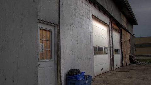 Cats Have Staff - 2.jpg