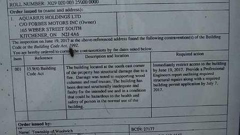 Cats Have Staff - 3.jpg