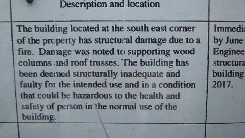 Cats Have Staff - 3a.jpg