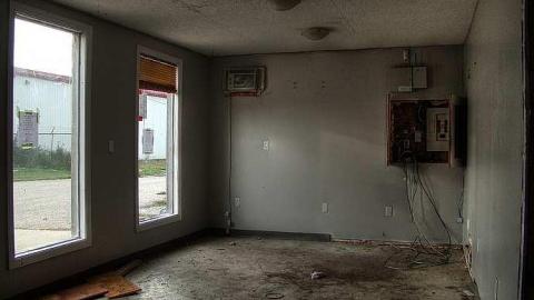 Cats Have Staff - 4.jpg