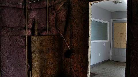 Cats Have Staff - 4a.jpg