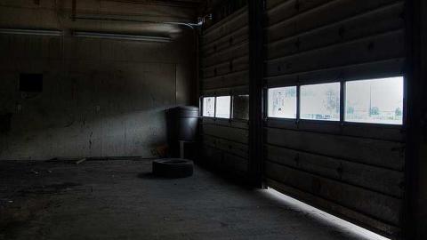 Cat People - Woolwich, Ontario